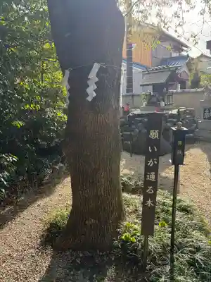 玉三稲荷神社(三重県)