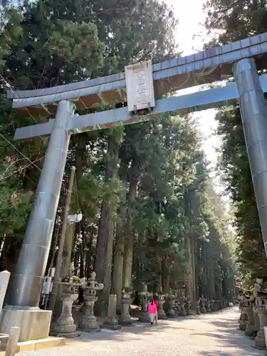 北口本宮冨士浅間神社の鳥居