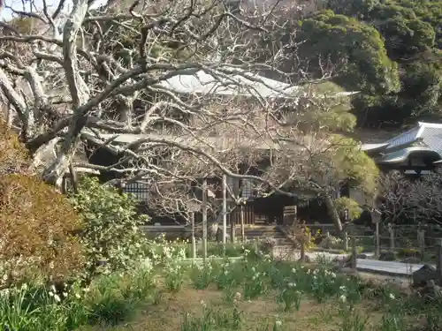 瑞泉寺の庭園