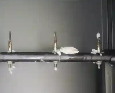 前神寺(愛媛県)