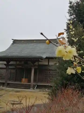 本明院の本殿・本堂