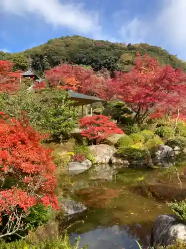 三室戸寺(京都府)