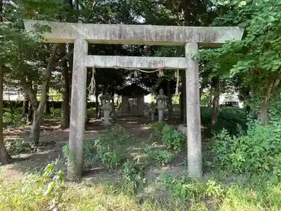 椿一宮神社の鳥居