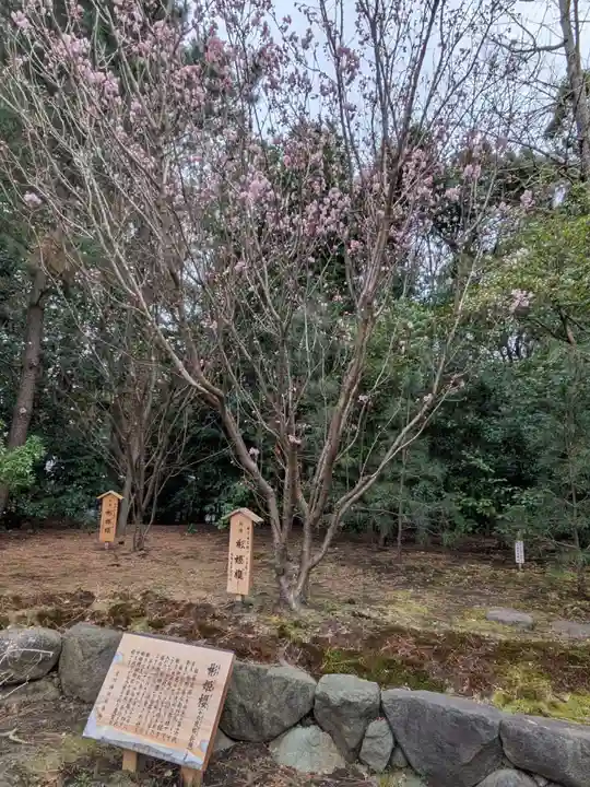 寒川神社(神奈川県)