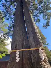 北口本宮冨士浅間神社(山梨県)