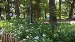 飯笠山神社の自然