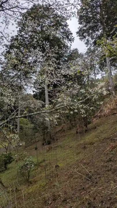 石山寺(滋賀県)