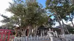 中藪白山神社(滋賀県)