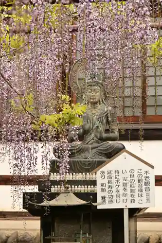 長泉寺(埼玉県)