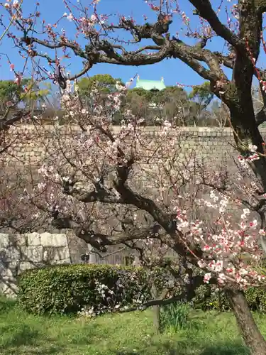 豊國神社の庭園