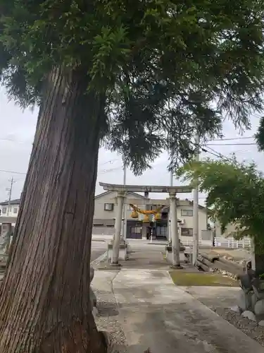 小泉神社の鳥居