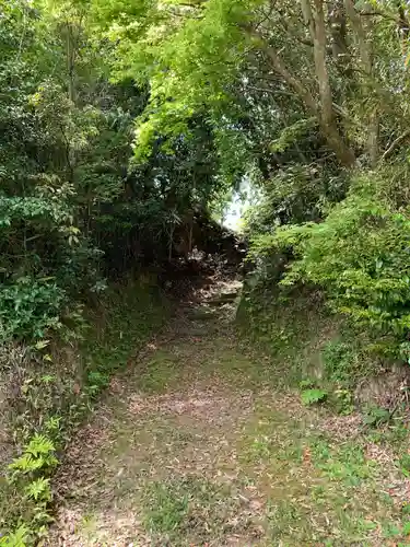 稲荷神社の自然