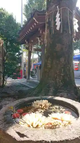 蛇窪神社(東京都)