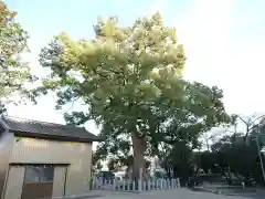 白鳥神社の自然