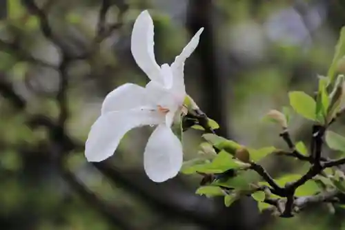豊景神社の自然