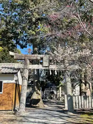 近津神社の鳥居