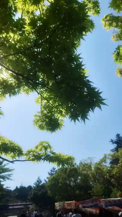 美濃國一宮 南宮大社の自然