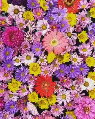 大鏑神社(福島県)