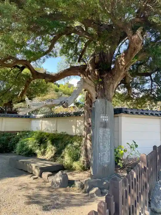 英勝寺(神奈川県)