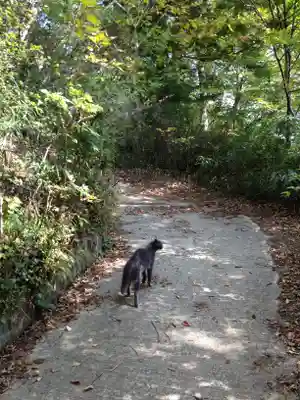 刈田嶺神社の動物