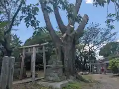 堂城稲荷神社(埼玉県)