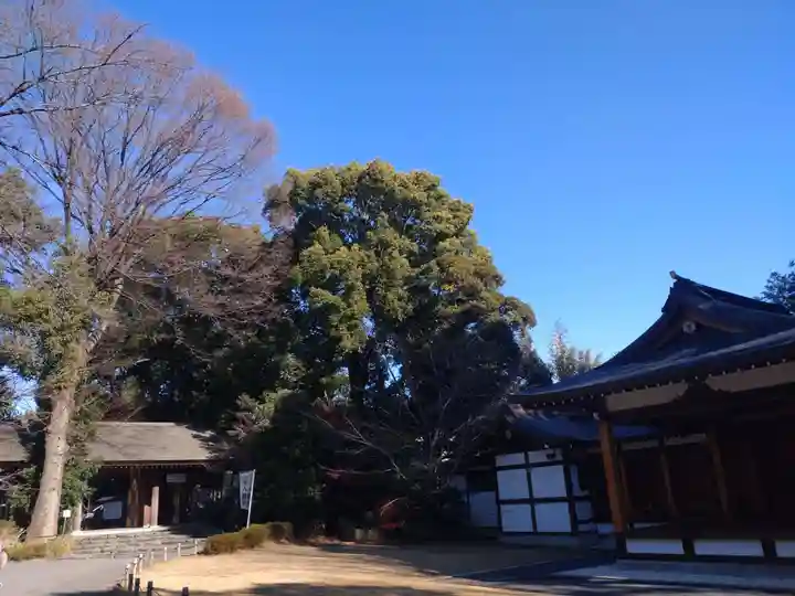 阿佐ヶ谷神明宮のその他建物