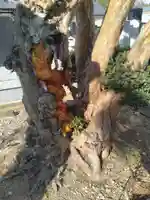 瑠璃光山安養院(宮城県)