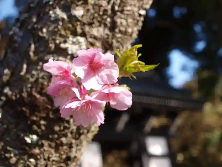 楽法寺(雨引観音)の周辺