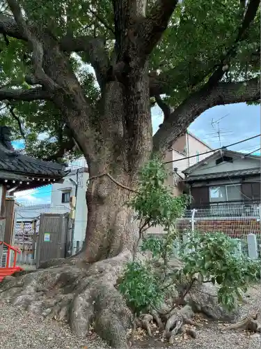 阿保神社(大阪府)