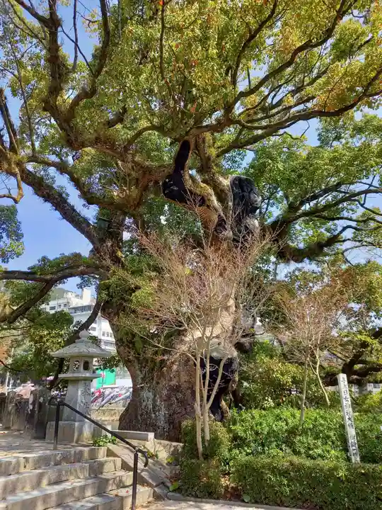 與止日女神社の自然