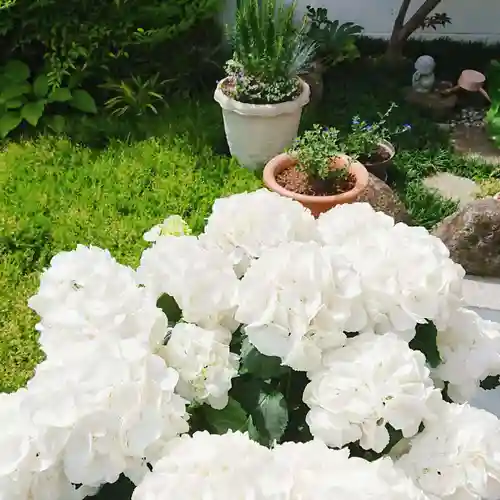 寿量山　速成寺の自然