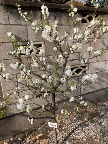 木場 洲﨑神社(東京都)