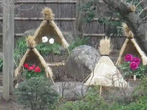 鶴岡八幡宮の庭園