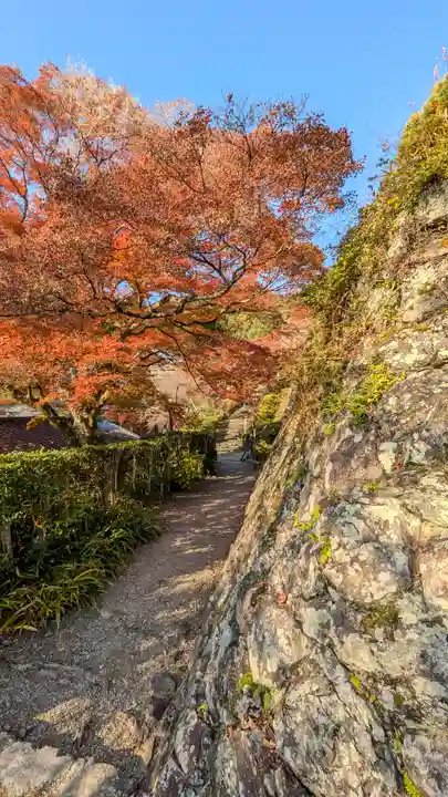 善峯寺(京都府)