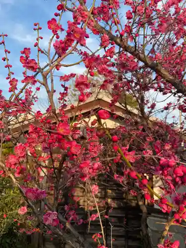 一条山宝蓮寺(愛知県)