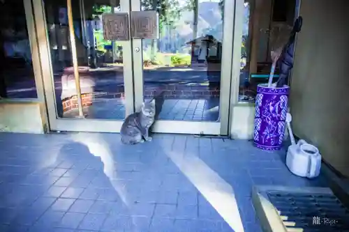 月山神社(岩手県)