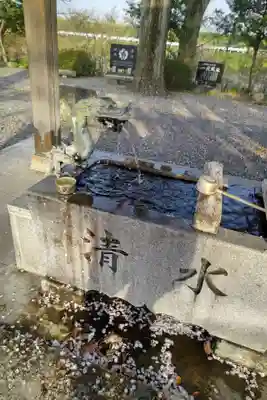 白髭神社の手水舎