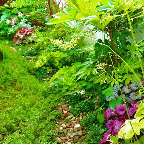 寿量山　速成寺の自然