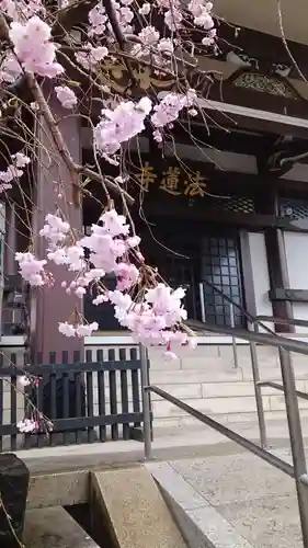 法蓮寺(東京都)