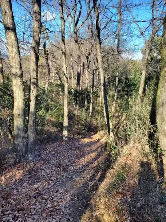 雷電神社 奥の院(助戸東山町)(栃木県)