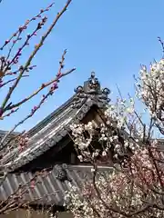 曽根天満宮の建物その他