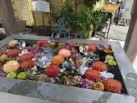 蛇窪神社の手水舎