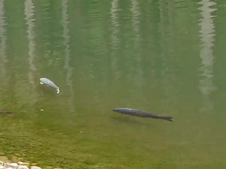 古峯神社(栃木県)