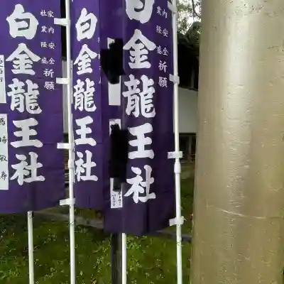 白金龍王社(愛知県)