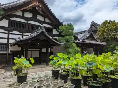 行願寺（革堂）のその他建物