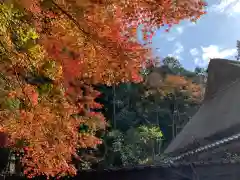 胡宮神社（敏満寺史跡）の自然