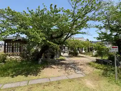 橋寺 放生院の{uncategorized: "未分類", other: "その他", undefined: "問題あり", building: "その他建物", grave: "お墓", sacred_gate: "鳥居", guardian: "狛犬", statue: "像", buddha: "仏像", history: "歴史", nature: "自然", garden: "庭園", animal: "動物", pagoda: "塔", temizu: "手水舎", mountain_gate: "山門・神門", sanctuary: "本殿・本堂", subordinate: "末社・摂社", art: "芸術", scenery: "景色", jizo: "地蔵", ema: "絵馬", goshuin: "御朱印", omikuji: "おみくじ", items: "授与品その他", amulet: "お守り", goshuincho: "御朱印帳", eats: "食事", festival: "お祭り", votive_dance: "神楽", shichigosan: "七五三参", wedding: "結婚式", experience: "体験その他", initially: "初詣", around: "周辺", anti_infection: "感染症対策"}