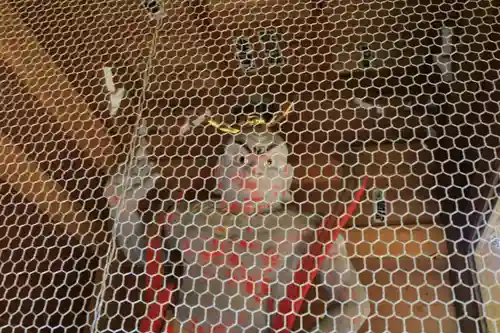 清水寺(千葉県)