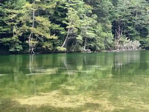 穂高神社奥宮の自然
