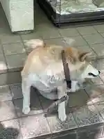 笠䅣稲荷神社(神奈川県)